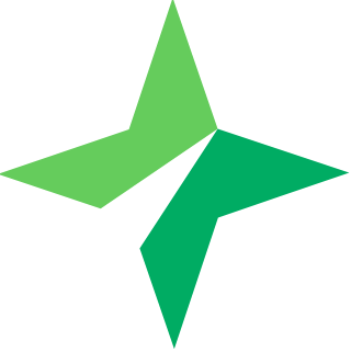 The Minnesota StarTribune (Newspaper)